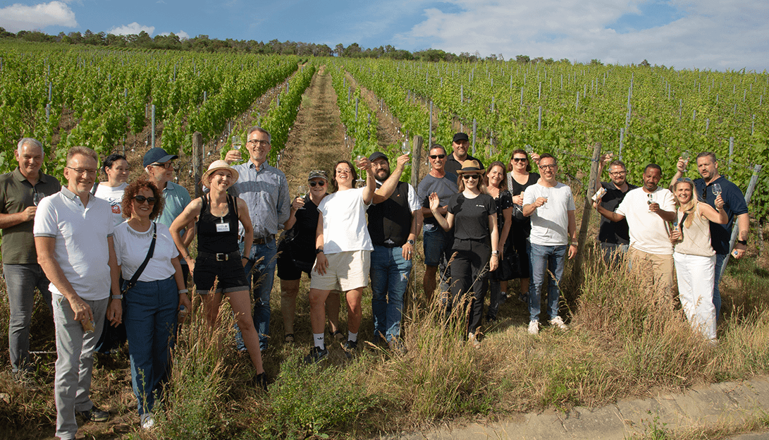 Weinwanderung